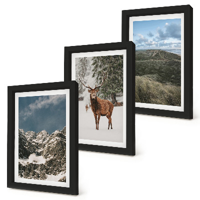 3-piece wall art set Mountains with snow, deer in the forest, landscapes