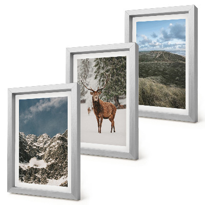 3-piece wall art set Mountains with snow, deer in the forest, landscapes