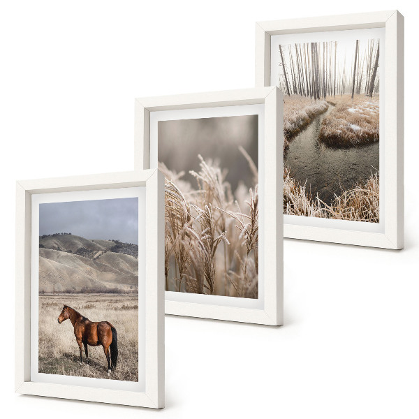 Photo frame wall Horses in a landscape of grasses and a winter stream