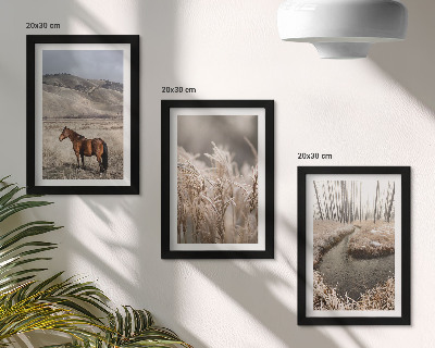 Photo frame wall Horses in a landscape of grasses and a winter stream