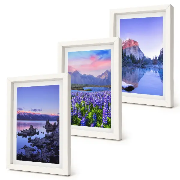 Framed triptych mountain landscapes featuring water, sky, and a field of flowers