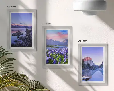 Framed triptych mountain landscapes featuring water, sky, and a field of flowers