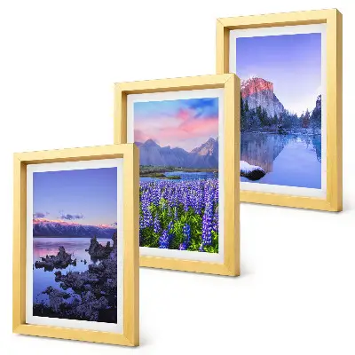 Framed triptych mountain landscapes featuring water, sky, and a field of flowers