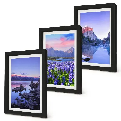 Framed triptych mountain landscapes featuring water, sky, and a field of flowers