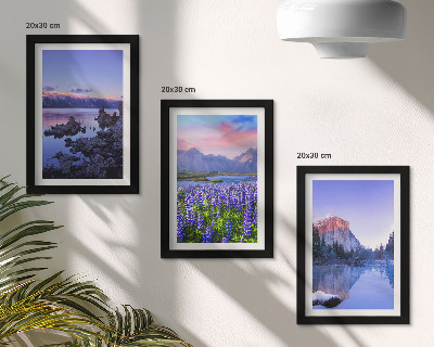 Framed triptych Mountain landscapes with water, sky and a field of flowers