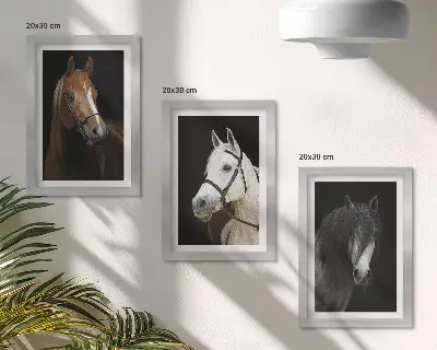 Framed triptych Portraits of horses in different shades of fur