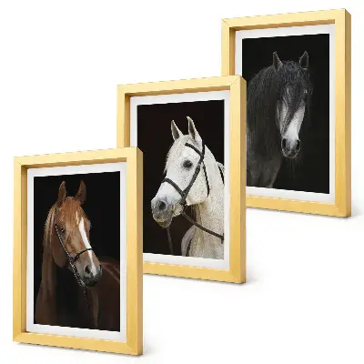 Framed triptych Portraits of horses in different shades of fur
