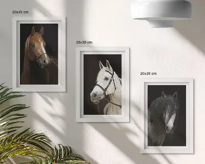 Framed triptych Portraits of horses in different shades of fur