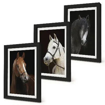 Framed triptych Portraits of horses in different shades of fur