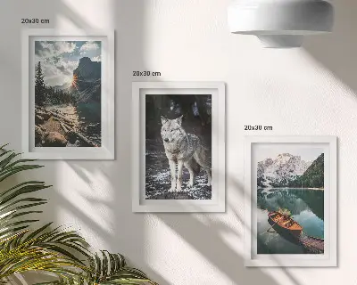 3-piece wall art set featuring mountains, lakes, and a wolf in a natural setting