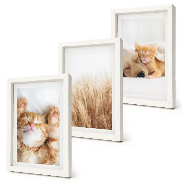 Photo frame wall featuring cute cats and dogs in a delicate boho grass style