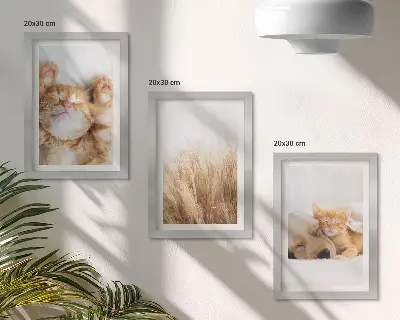 Photo frame wall featuring cute cats and dogs in a delicate boho grass style