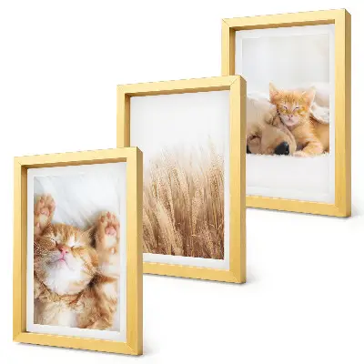Photo frame wall Cute animals cats dogs delicate grass boho