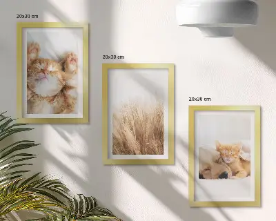 Photo frame wall featuring cute cats and dogs in a delicate boho grass style