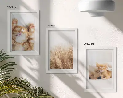 Photo frame wall featuring cute cats and dogs in a delicate boho grass style