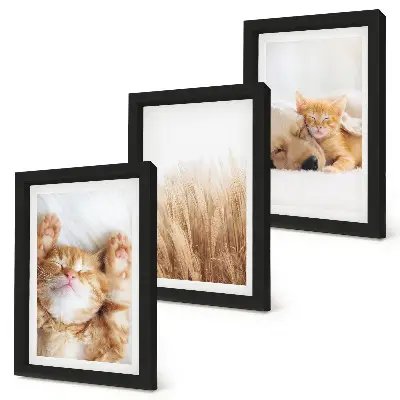 Photo frame wall Cute animals cats dogs delicate grass boho