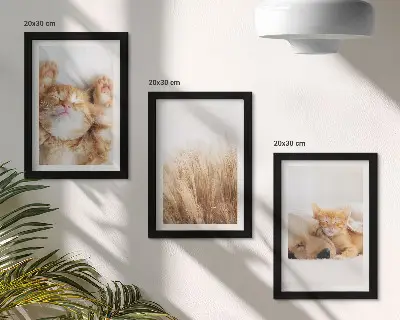 Photo frame wall featuring cute cats and dogs in a delicate boho grass style