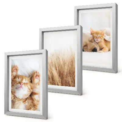 Photo frame wall featuring cute cats and dogs in a delicate boho grass style