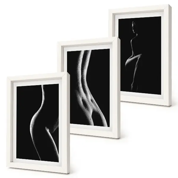 Black and white female silhouettes erotica triptych framed