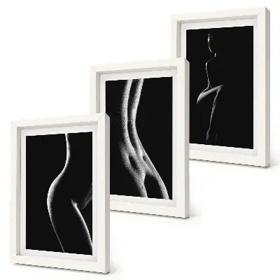 Black and white female silhouettes erotica triptych framed