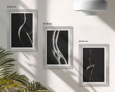 Framed triptych Black and white female silhouettes erotica