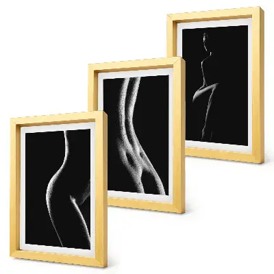 Black and white female silhouettes erotica triptych framed