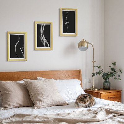 Framed triptych Black and white female silhouettes erotica