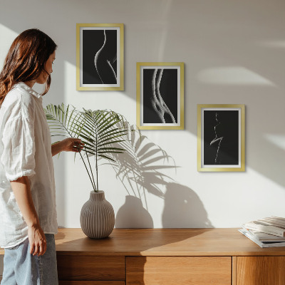 Framed triptych Black and white female silhouettes erotica