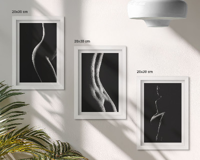 Framed triptych Black and white female silhouettes erotica