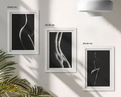Black and white female silhouettes erotica triptych framed