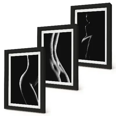 Black and white female silhouettes erotica triptych framed