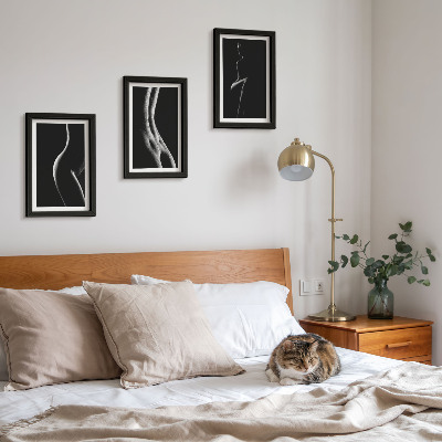 Framed triptych Black and white female silhouettes erotica