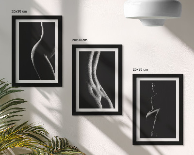 Framed triptych Black and white female silhouettes erotica