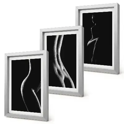 Black and white female silhouettes erotica triptych framed