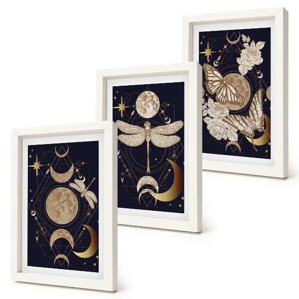 Nature motifs triptych moon, space, and flowers framed wall art