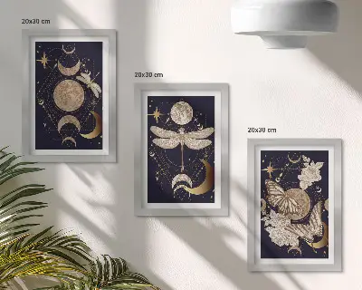 Nature motifs triptych moon, space, and flowers framed wall art