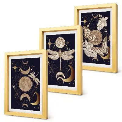 Nature motifs triptych moon, space, and flowers framed wall art