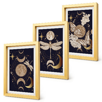 Framed triptych Nature motifs with the moon, space, and flowers