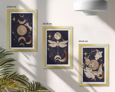 Framed triptych Nature motifs with the moon, space, and flowers