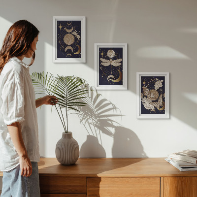 Framed triptych Nature motifs with the moon, space, and flowers