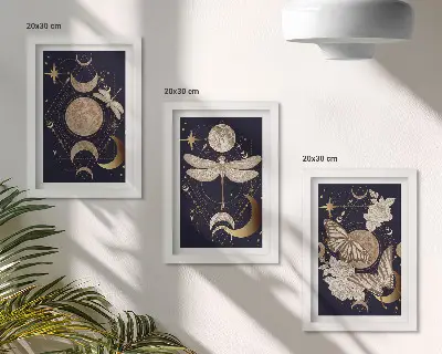 Nature motifs triptych moon, space, and flowers framed wall art