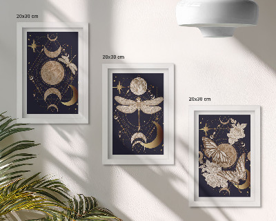Framed triptych Nature motifs with the moon, space, and flowers