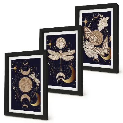 Nature motifs triptych moon, space, and flowers framed wall art