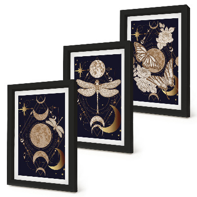 Framed triptych Nature motifs with the moon, space, and flowers