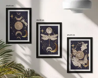 Nature motifs triptych moon, space, and flowers framed wall art