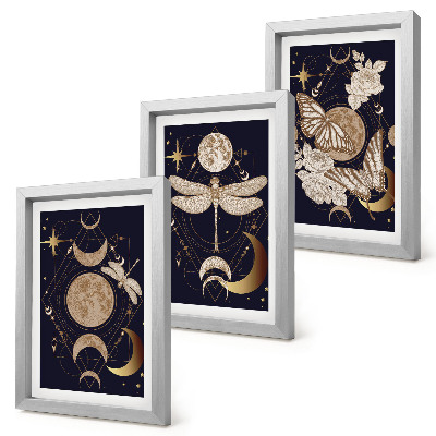 Framed triptych Nature motifs with the moon, space, and flowers