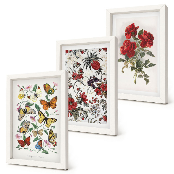 3-piece wall art set Butterflies, flowers and red roses in a classic style