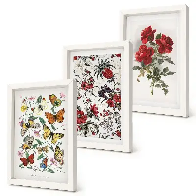3-piece wall art set featuring butterflies, flowers, and red roses in a classic style