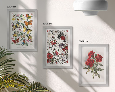 3-piece wall art set Butterflies, flowers and red roses in a classic style