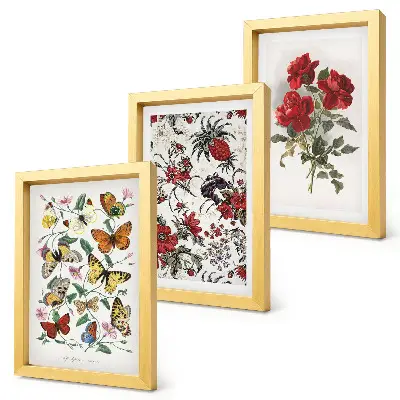 3-piece wall art set featuring butterflies, flowers, and red roses in a classic style
